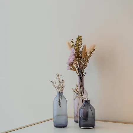 Primeiro Quartel - 1 Apartment Peso da Régua