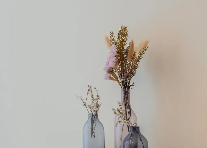 Primeiro Quartel - 1 Apartamento Peso da Régua