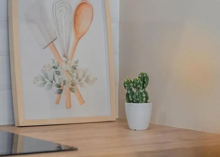 Apartamento Primeiro Quartel - 1